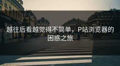 越往后看越觉得不简单，P站浏览器的困惑之旅