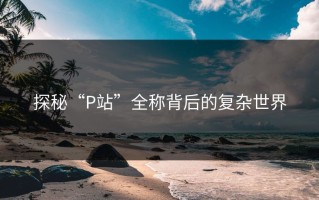 探秘“P站”全称背后的复杂世界