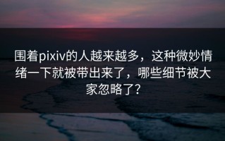 围着pixiv的人越来越多，这种微妙情绪一下就被带出来了，哪些细节被大家忽略了？