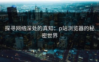 探寻网络深处的真知：p站浏览器的秘密世界