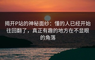 揭开P站的神秘面纱：懂的人已经开始往回翻了，真正有趣的地方在不显眼的角落