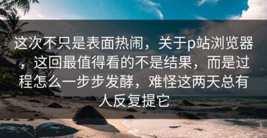 这次不只是表面热闹，关于p站浏览器，这回最值得看的不是结果，而是过程怎么一步步发酵，难怪这两天总有人反复提它