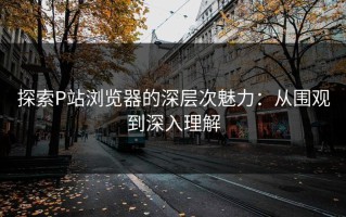 探索P站浏览器的深层次魅力：从围观到深入理解