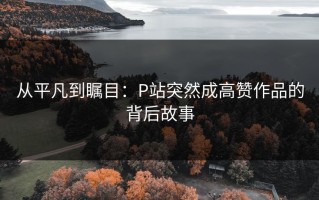 从平凡到瞩目：P站突然成高赞作品的背后故事