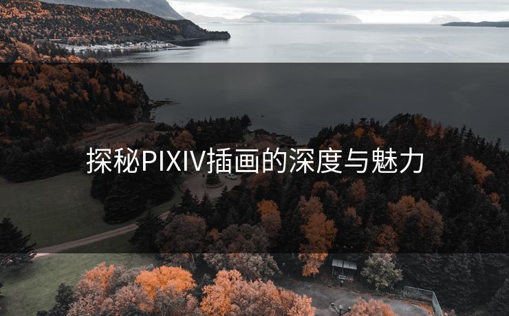 探秘PIXIV插画的深度与魅力-第1张图片-p站自媒体 | p站网页版内容站