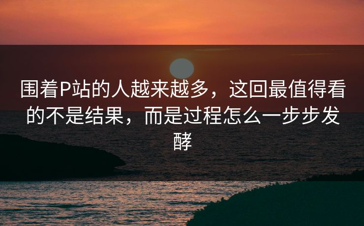 围着P站的人越来越多,这回最值得看的不是结果,而是过程怎么一步步发酵-第1张图片-p站自媒体 | p站网页版内容站 围着P站的人越来越多,这回最值得看的不是结果,而是过程怎么一步步发酵-第1张图片-p站自媒体 | p站网页版内容站