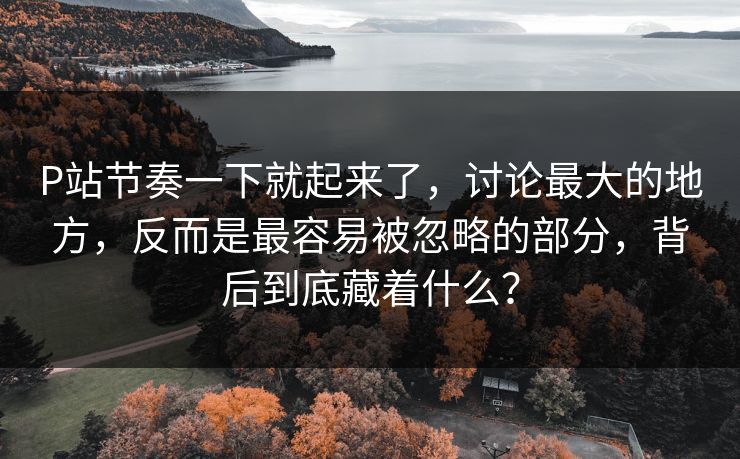 P站节奏一下就起来了，讨论最大的地方，反而是最容易被忽略的部分，背后到底藏着什么？-第1张图片-p站自媒体 | p站网页版内容站
