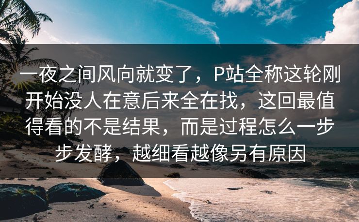 一夜之间风向就变了，P站全称这轮刚开始没人在意后来全在找，这回最值得看的不是结果，而是过程怎么一步步发酵，越细看越像另有原因-第1张图片-p站自媒体 | p站网页版内容站