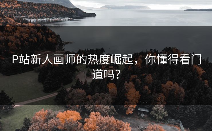 P站新人画师的热度崛起，你懂得看门道吗？-第1张图片-p站自媒体 | p站网页版内容站
