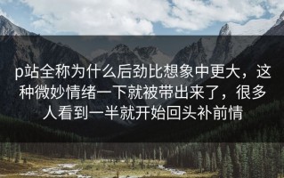 p站全称为什么后劲比想象中更大，这种微妙情绪一下就被带出来了，很多人看到一半就开始回头补前情