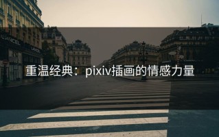 重温经典：pixiv插画的情感力量