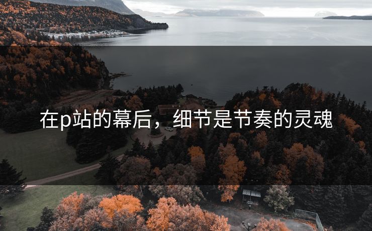 在p站的幕后,细节是节奏的灵魂-第1张图片-p站自媒体 | p站网页版内容站 在p站的幕后,细节是节奏的灵魂-第1张图片-p站自媒体 | p站网页版内容站